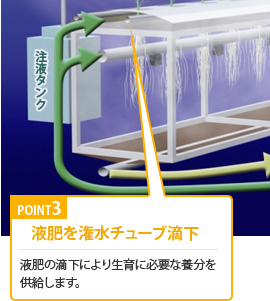 【POINT3】液肥を潅水チューブ滴下｜液肥の滴下により生育に必要な養分を供給します。